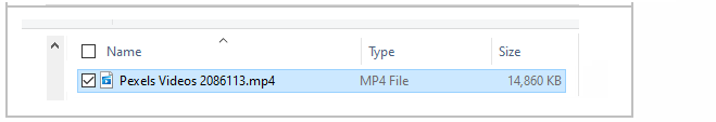 project in web browser