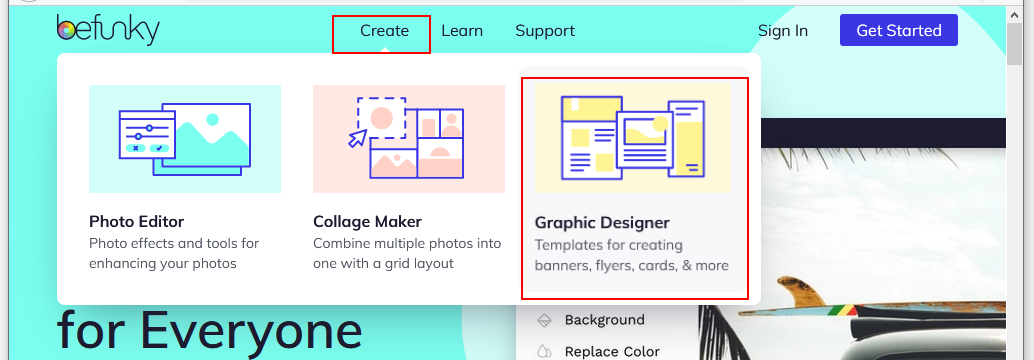 website customise